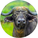 Guardian Tutoring profile picture